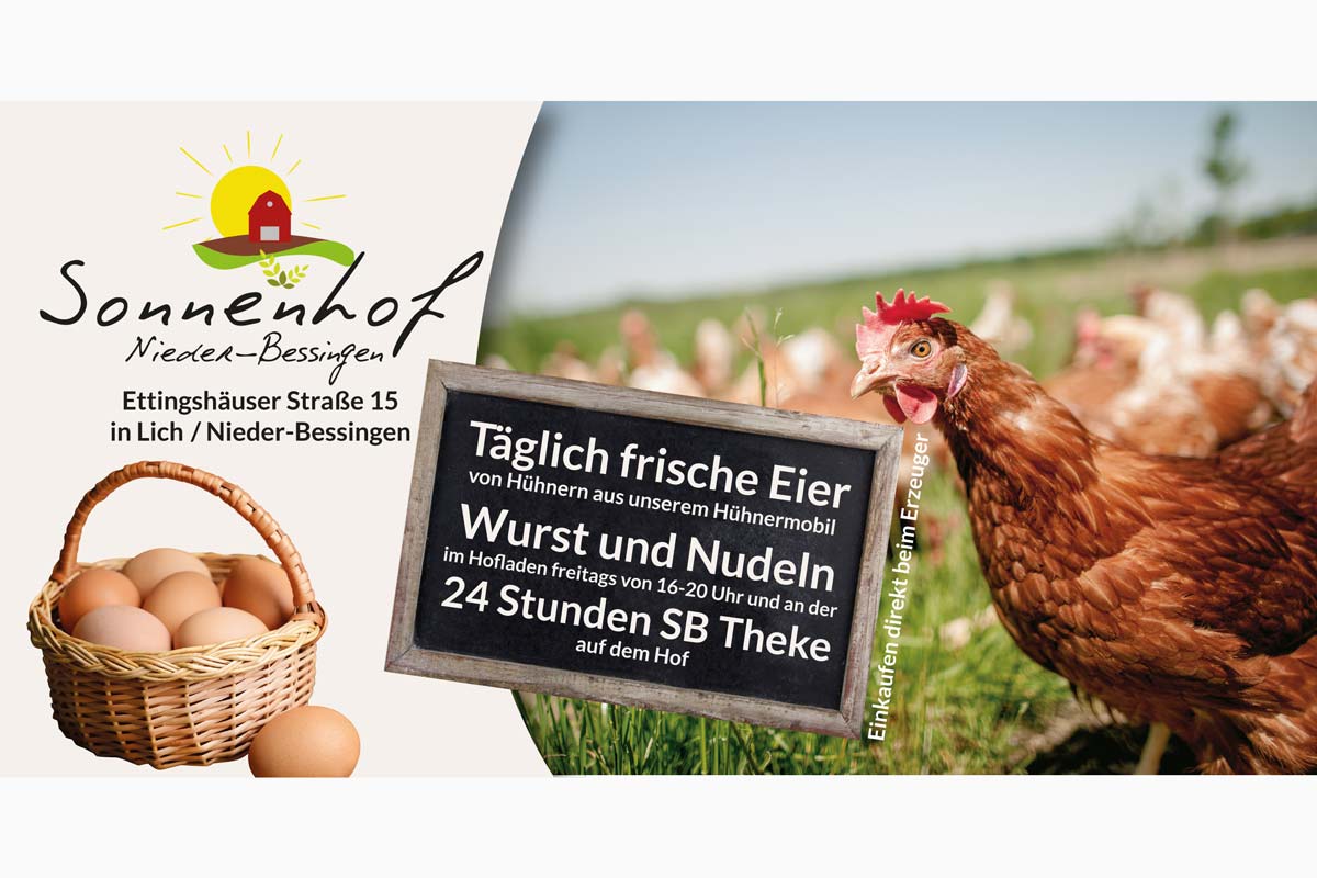 Info-Flyer Klappkarte DIN lang