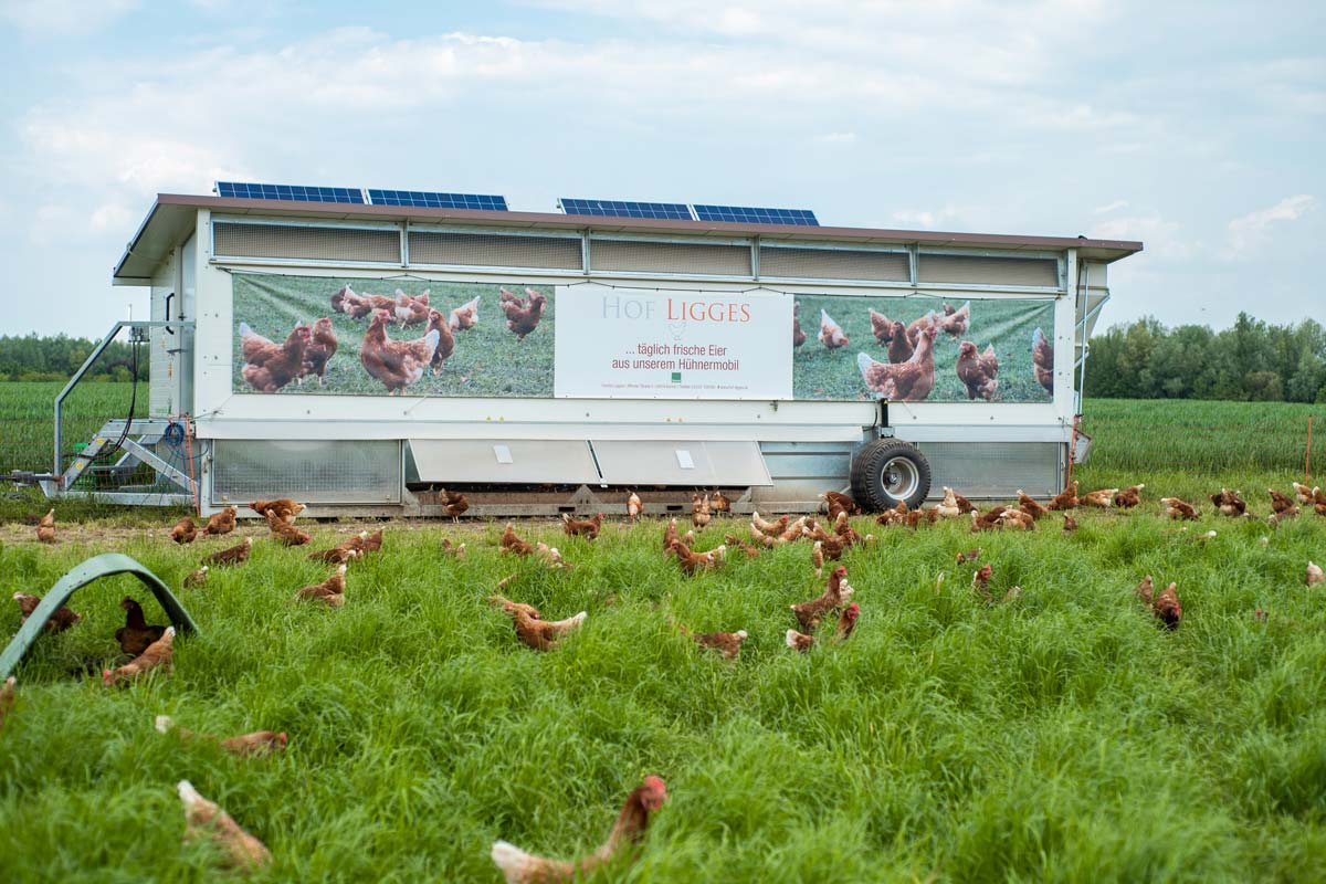 Banner für den Hühnermobilstall